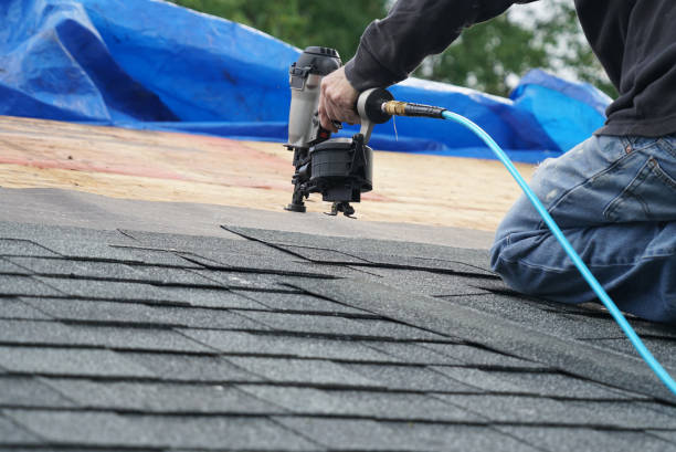 Best Roofing Contractors for Homes  in Parkers Prairie, MN